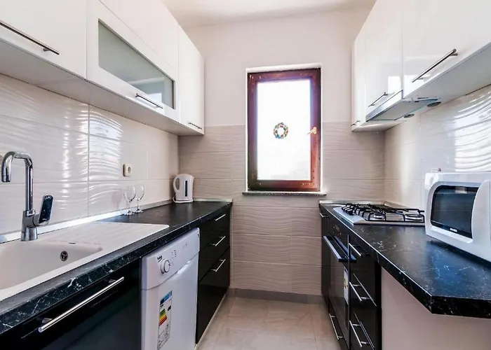 Brane Apartment *