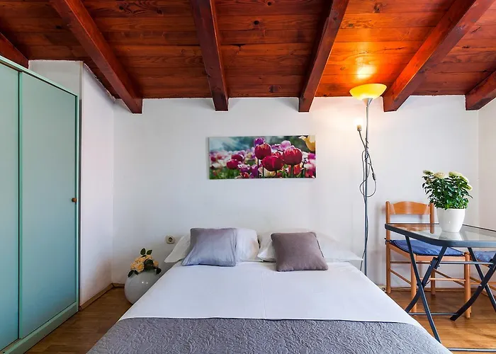 דירה Brane זאדאר